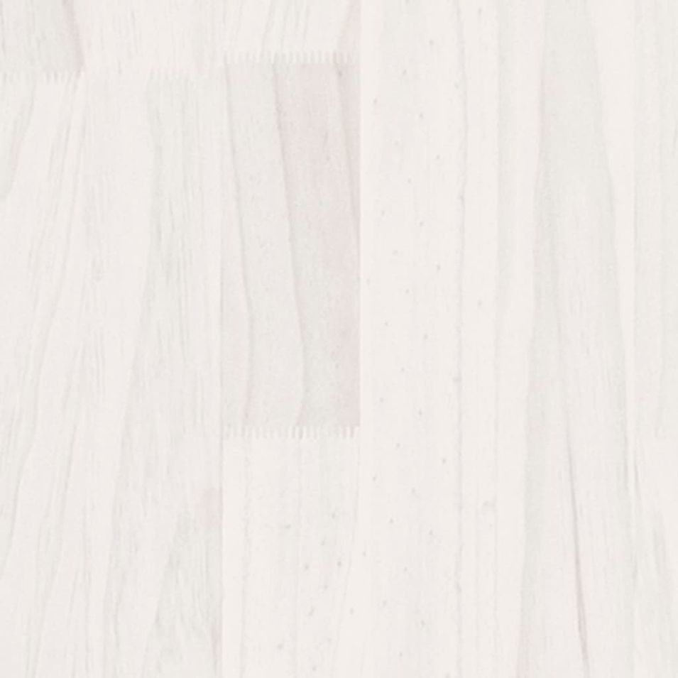 Photo n°5