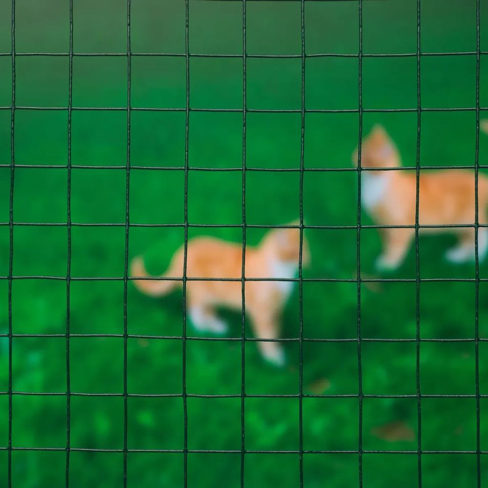 Photo n°2