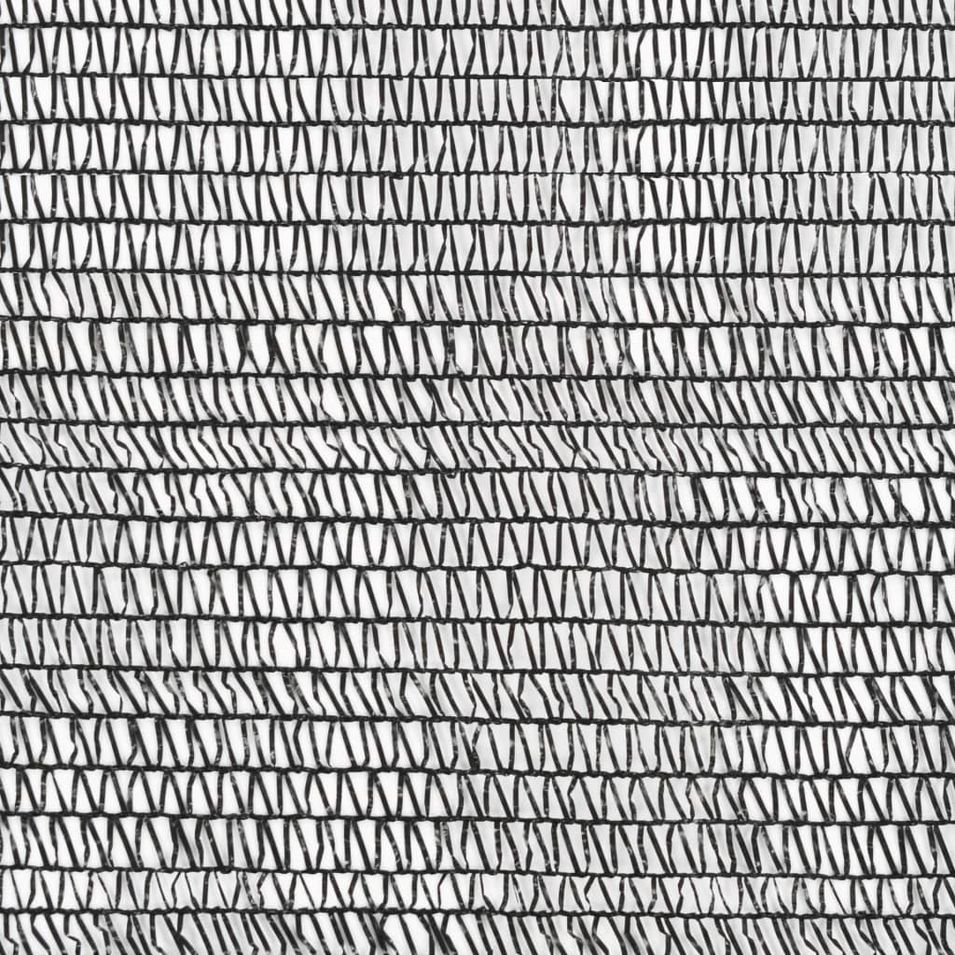 Photo n°4