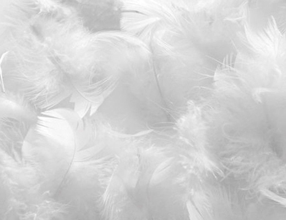 Photo n°3