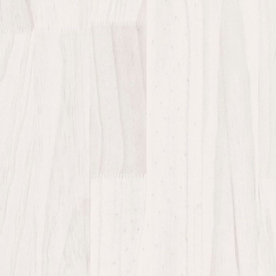 Photo n°5