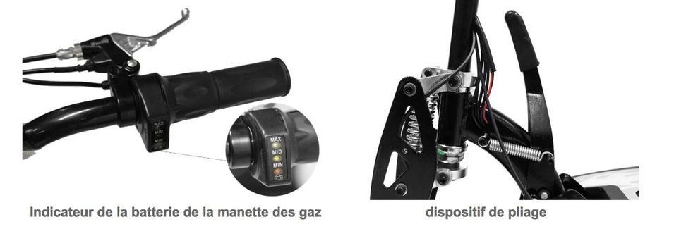 Photo n°4
