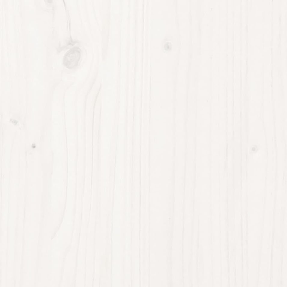 Photo n°7