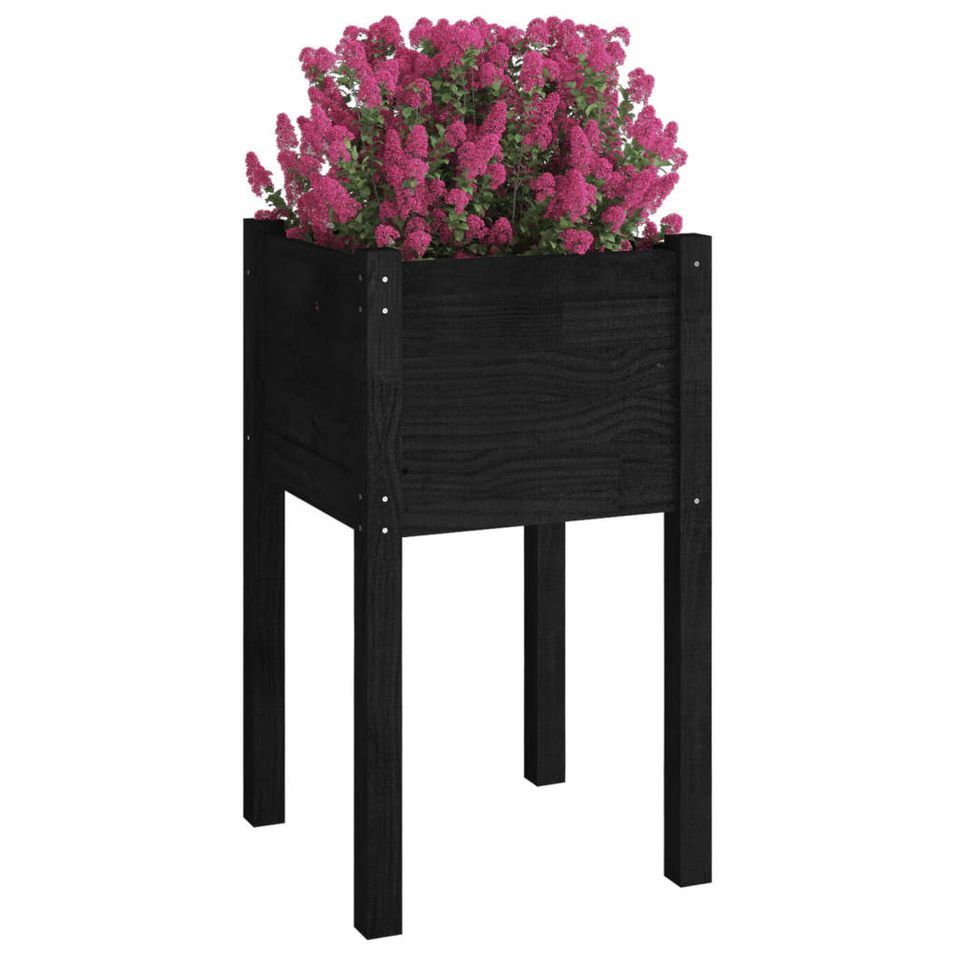 Photo n°3