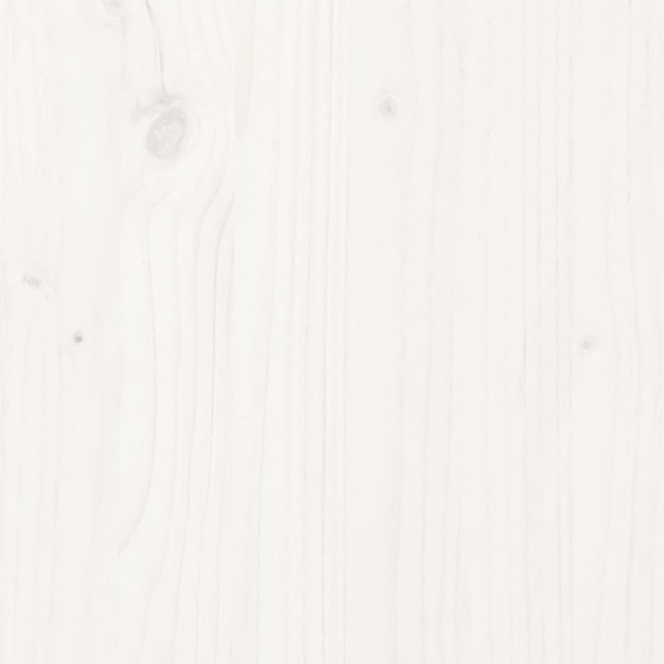 Photo n°6