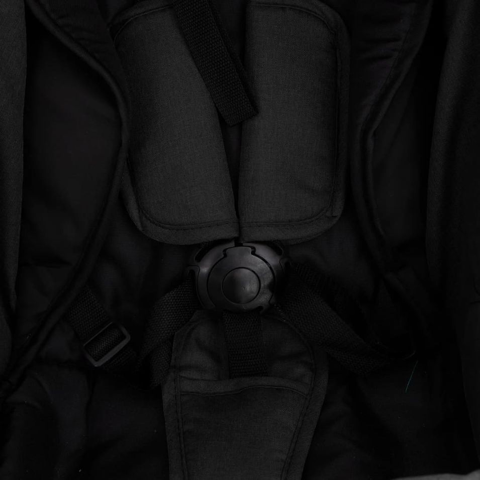 Photo n°12
