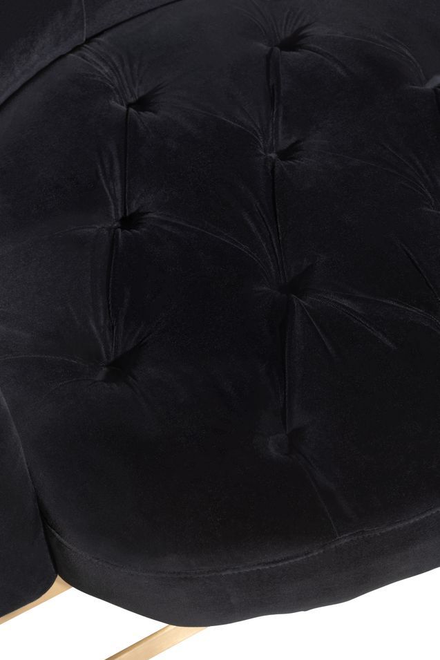Photo n°8