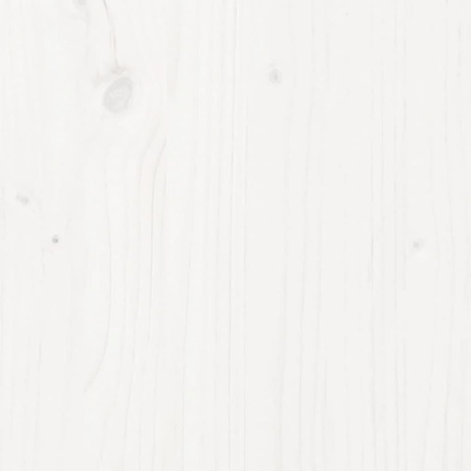 Photo n°6