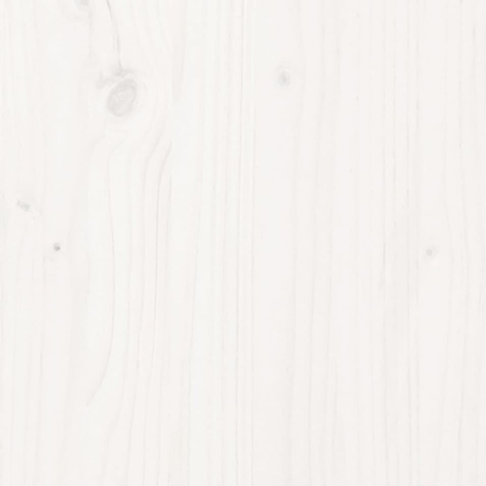 Photo n°7