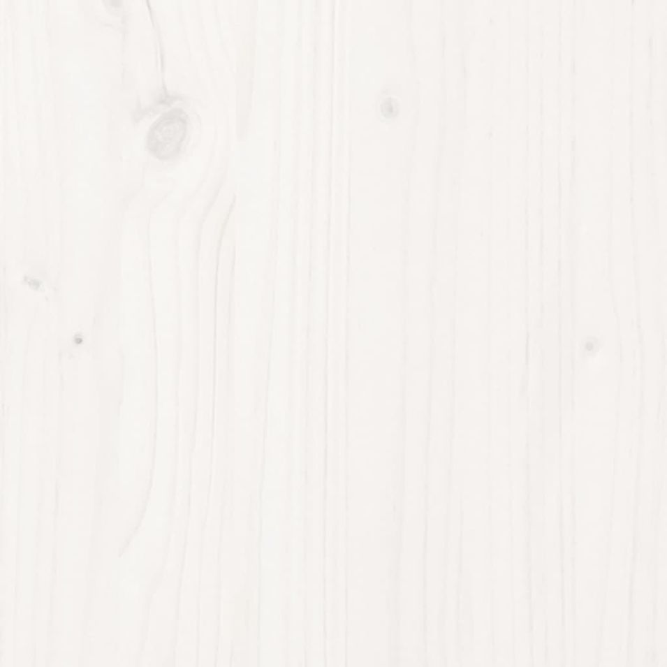 Photo n°5