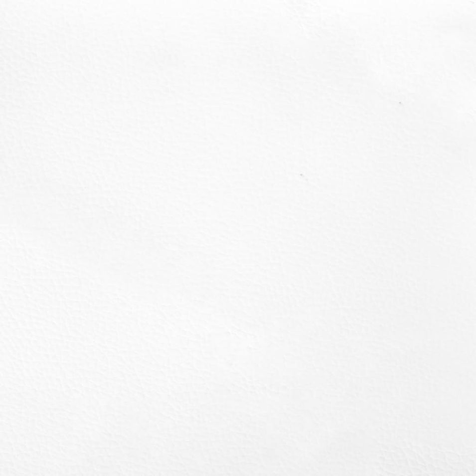 Photo n°8