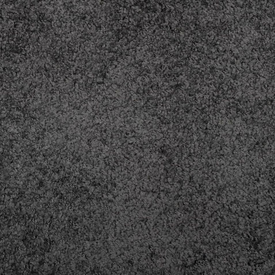 Photo n°9