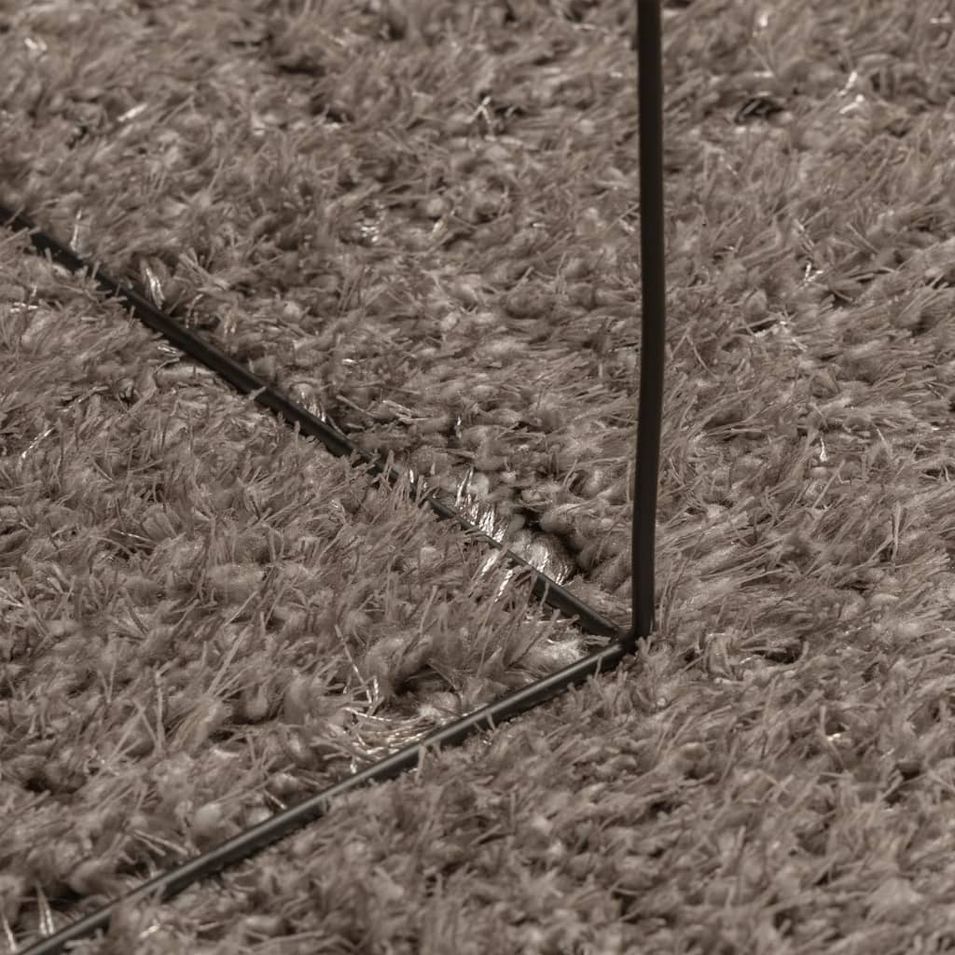 Photo n°6