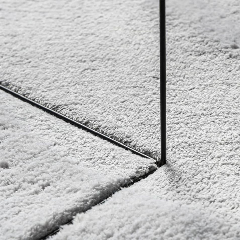 Photo n°8
