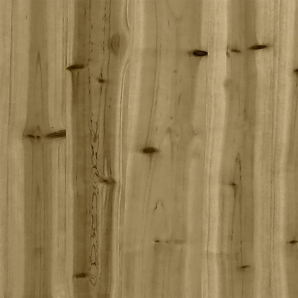 Photo n°9