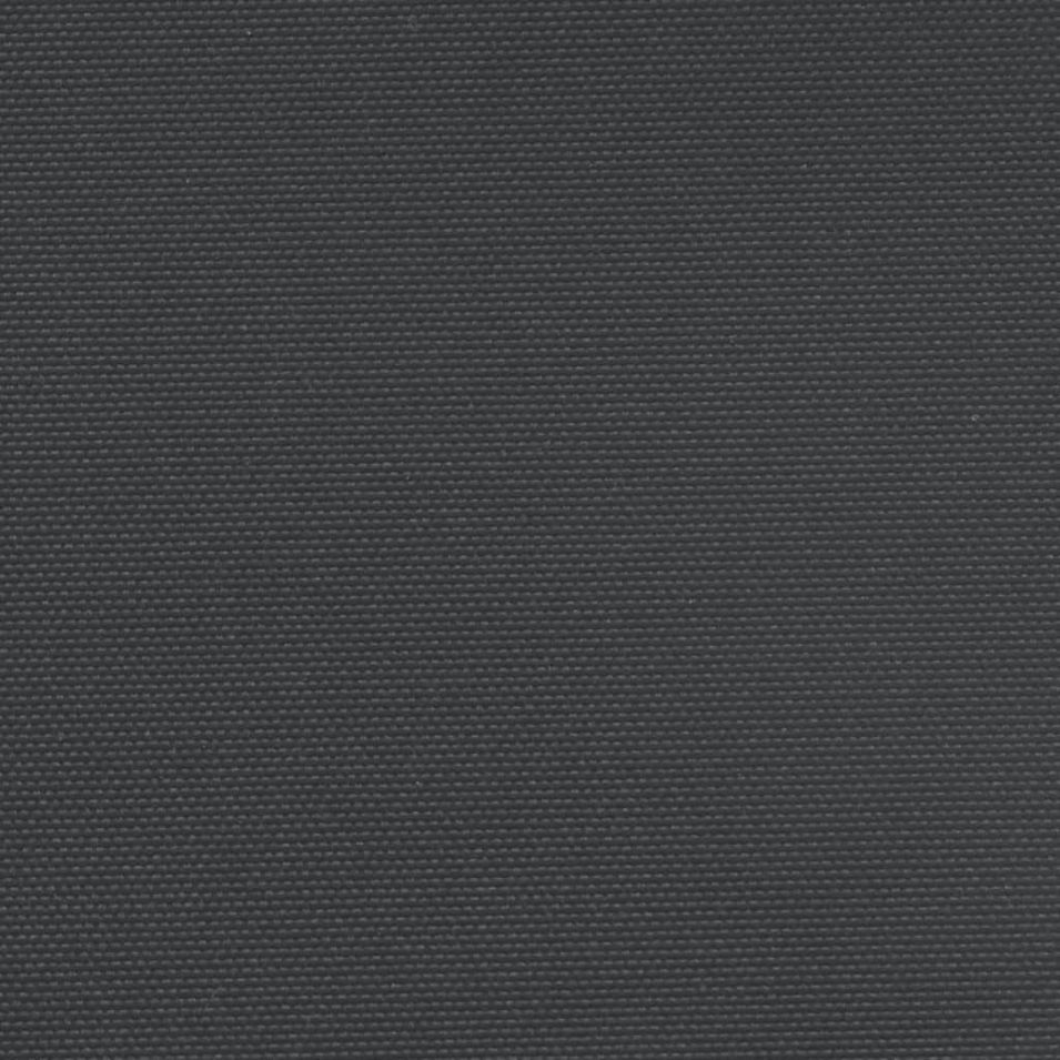 Photo n°9