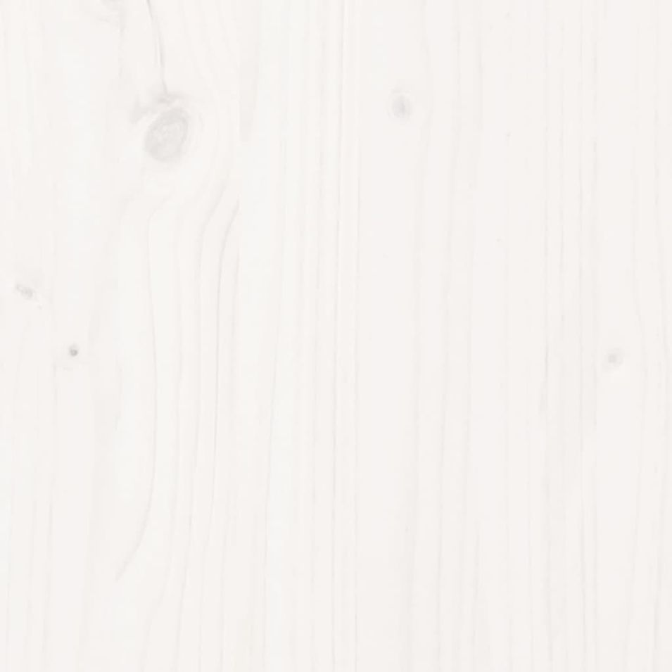 Photo n°7