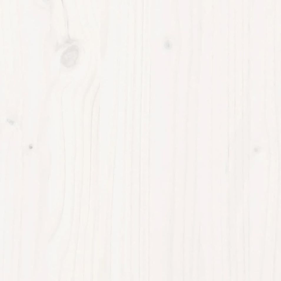 Photo n°5