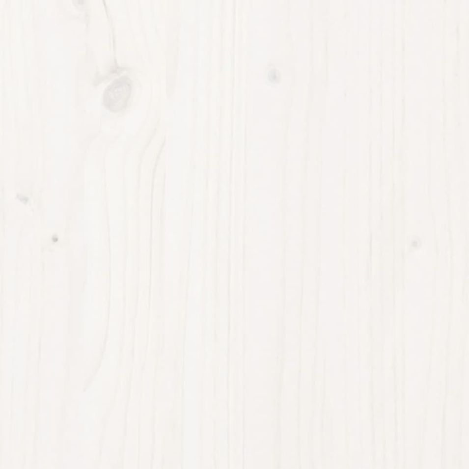 Photo n°10