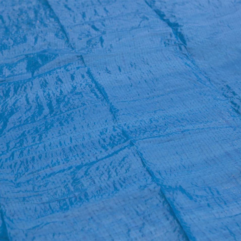 Photo n°7