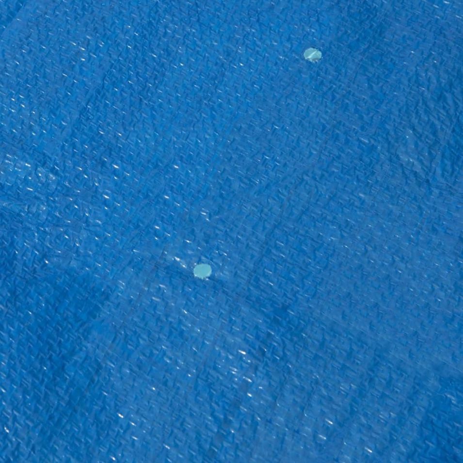Photo n°4