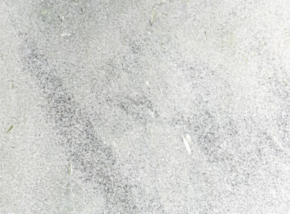 Photo n°11