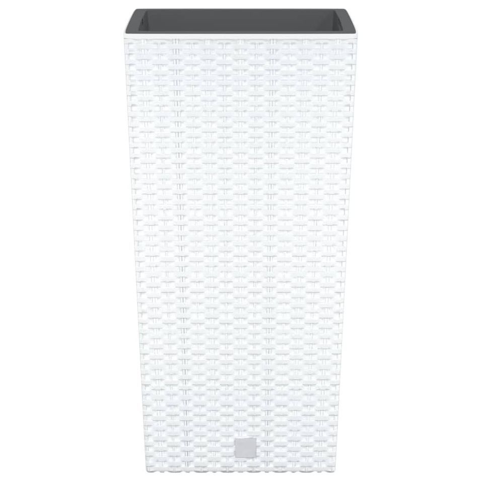 Photo n°4