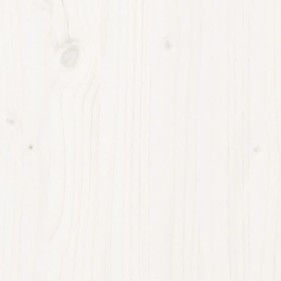 Photo n°8