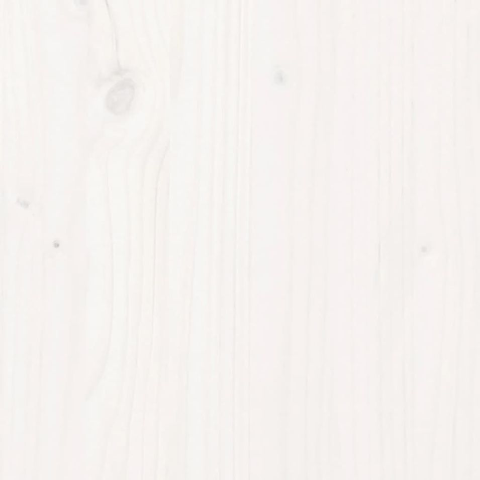 Photo n°11
