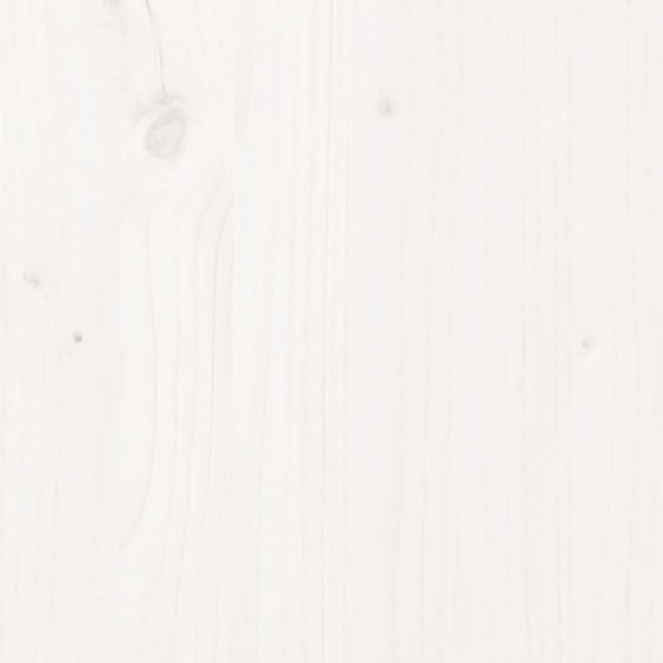 Photo n°11