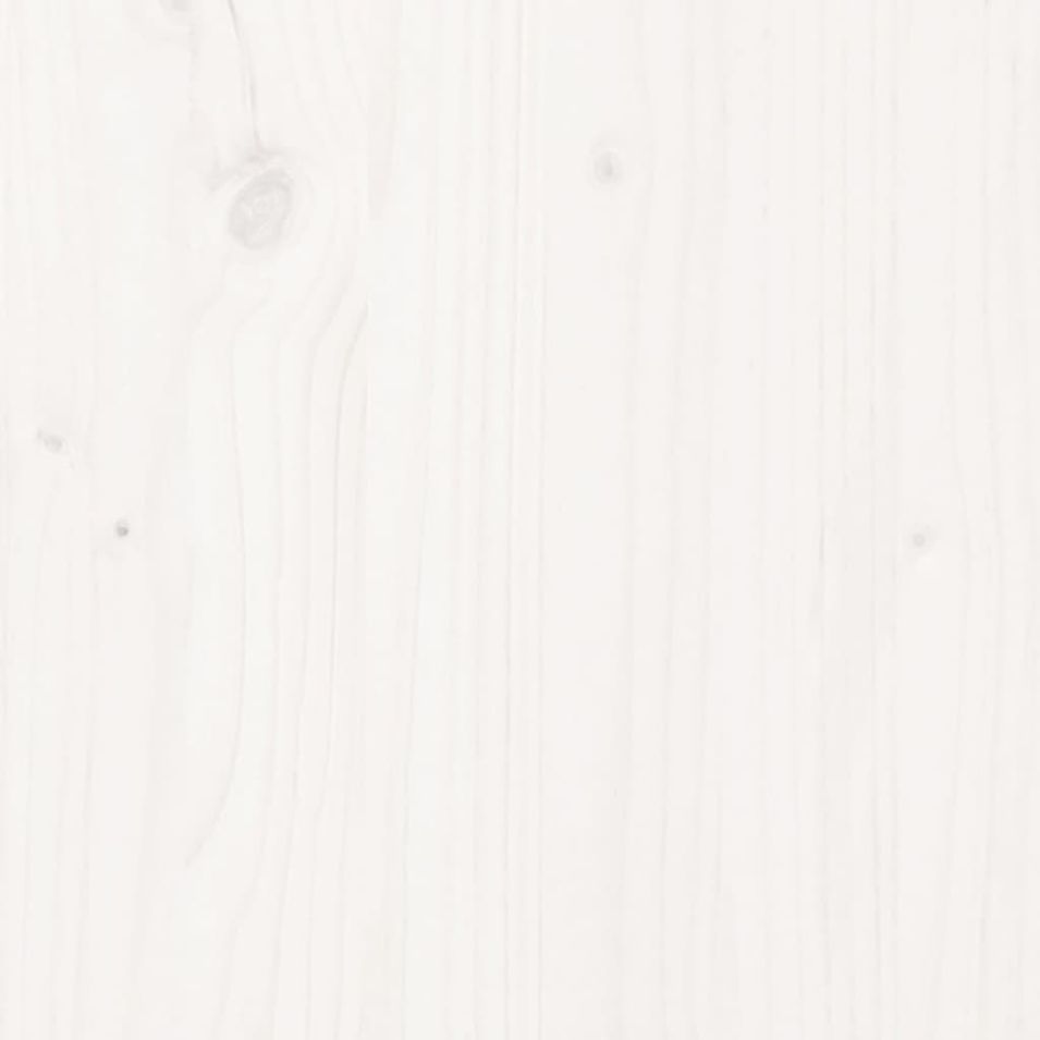 Photo n°11