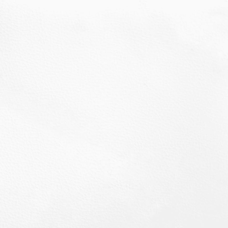 Photo n°8