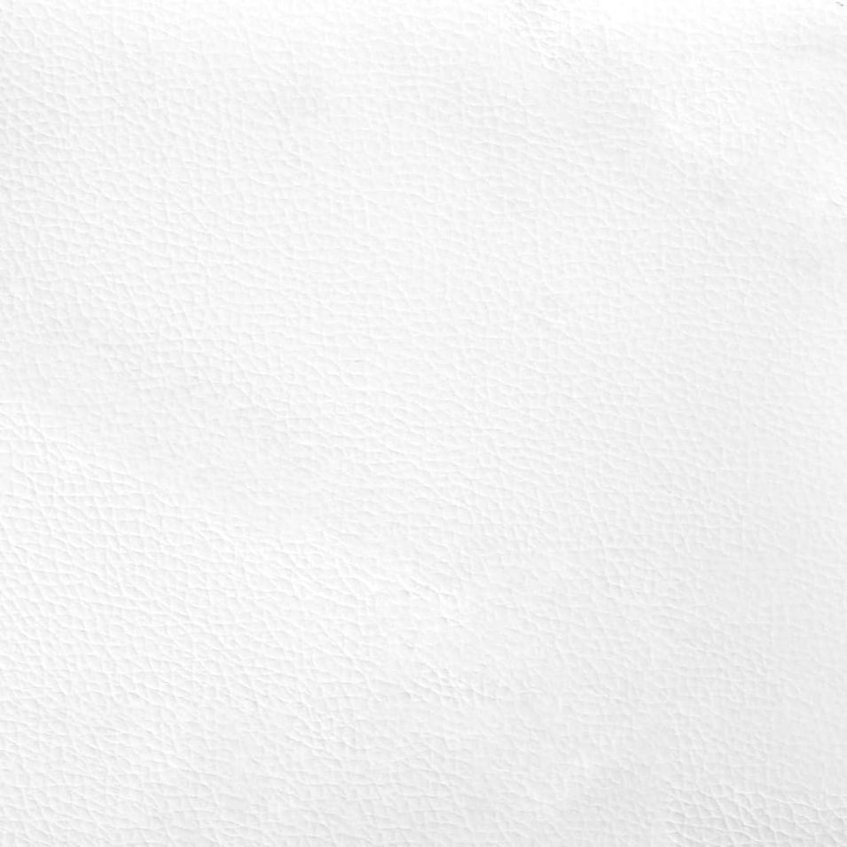 Photo n°11