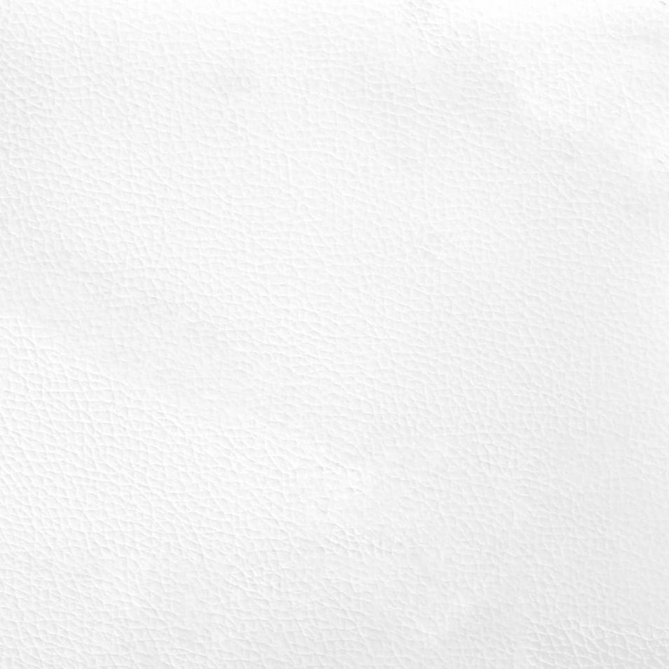 Photo n°11