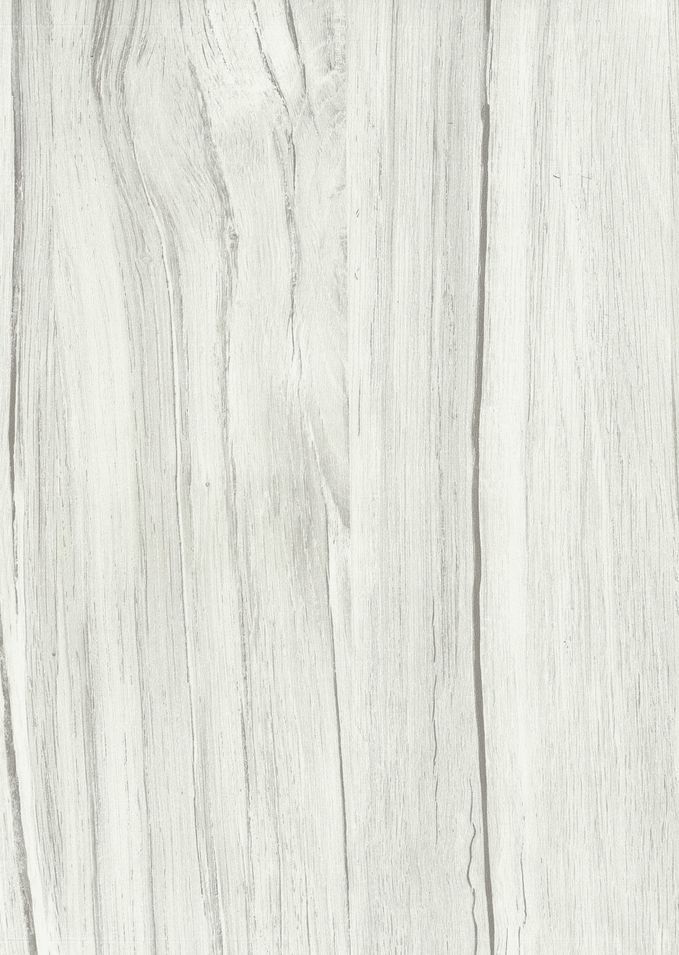 Photo n°5