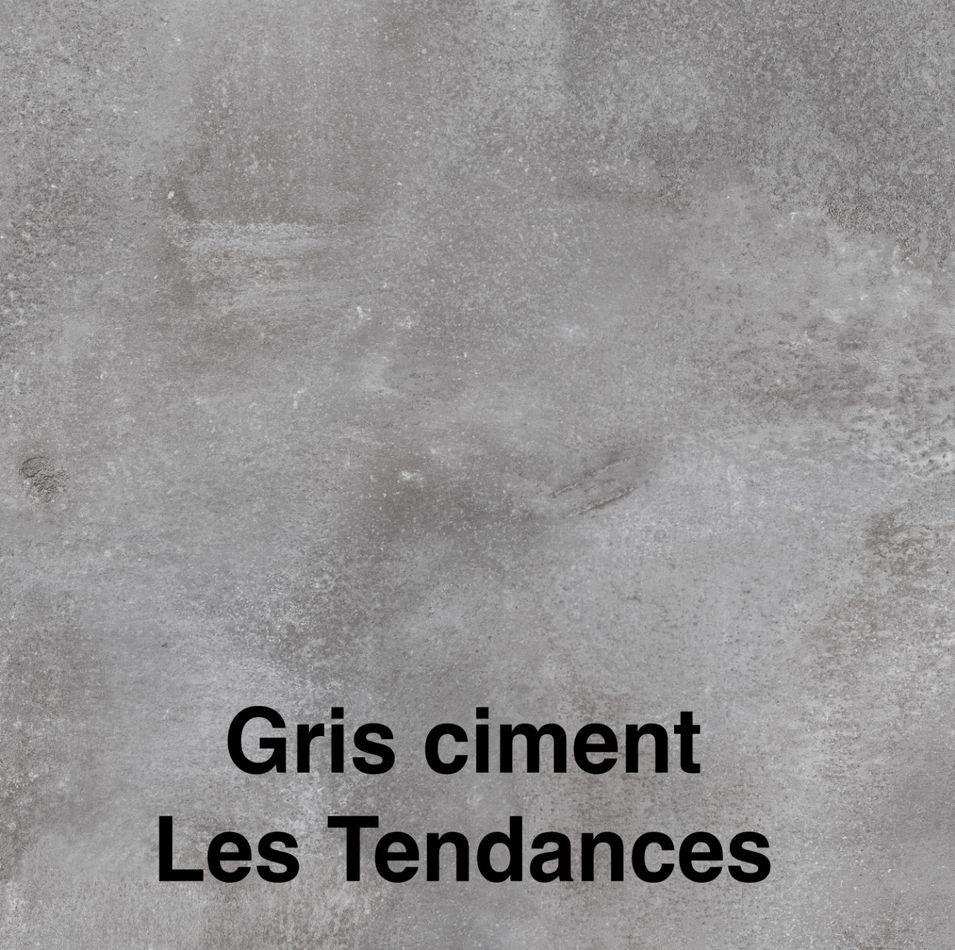 Photo n°15
