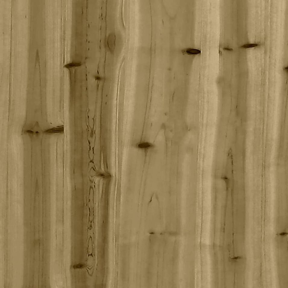 Photo n°9