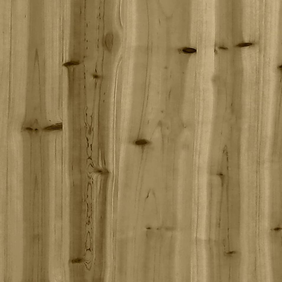 Photo n°9
