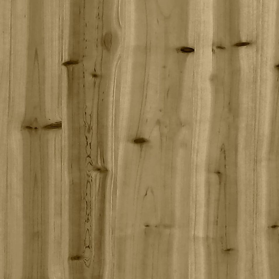 Photo n°9