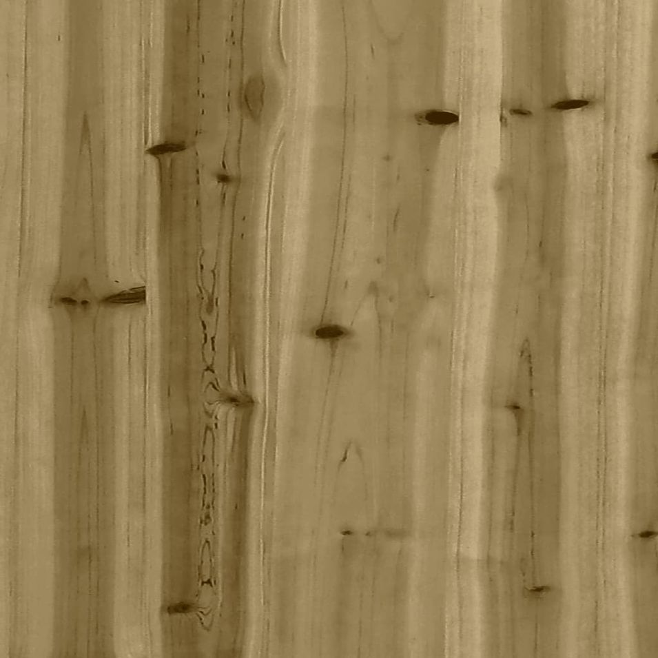 Photo n°9