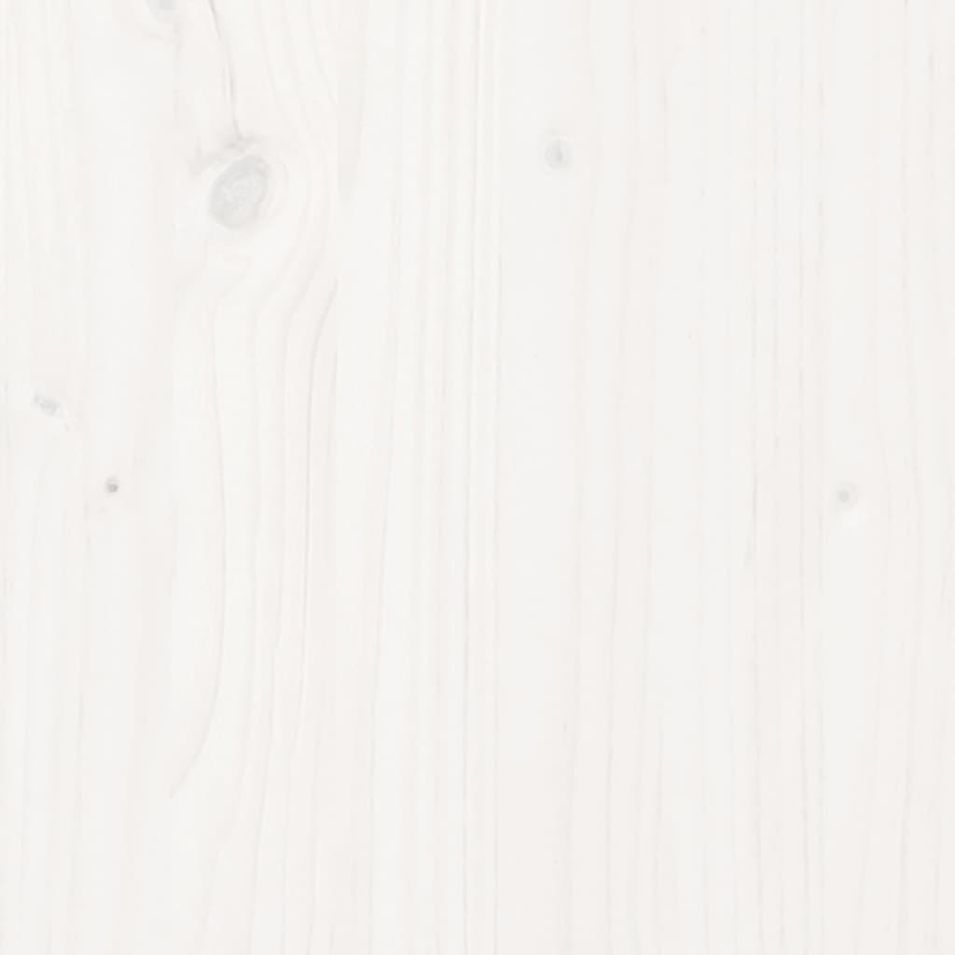 Photo n°5
