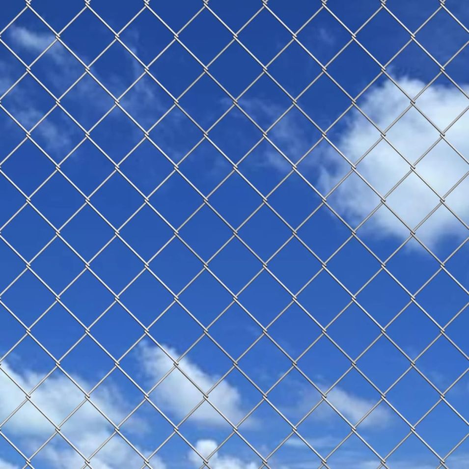 Photo n°3