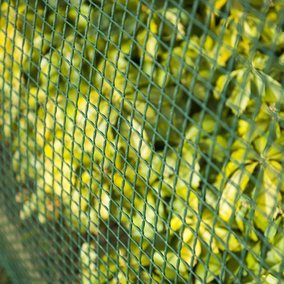 Photo n°3
