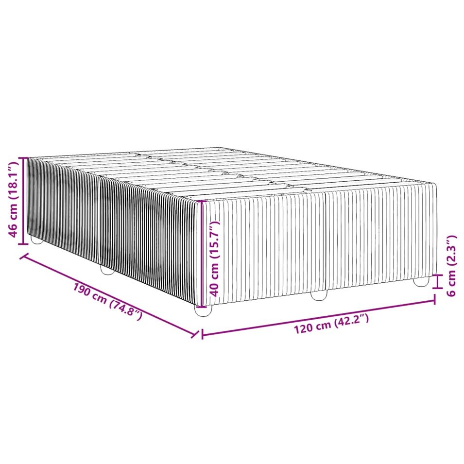 Photo n°9