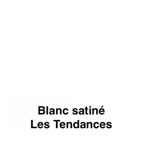 Photo n°8
