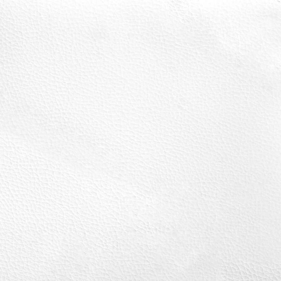 Photo n°12