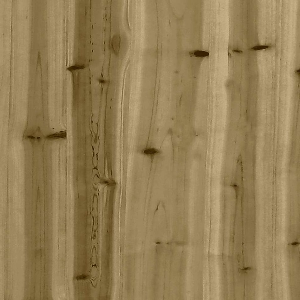 Photo n°9