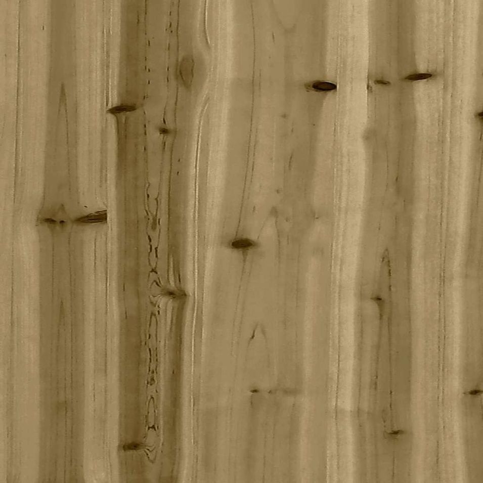 Photo n°8