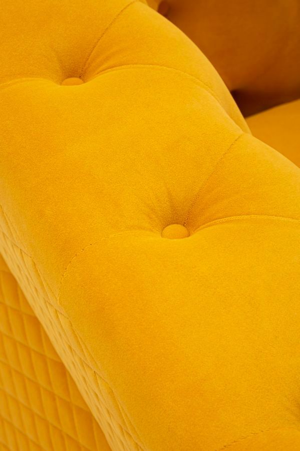 Photo n°5