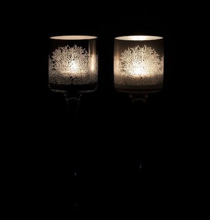 Photo n°3